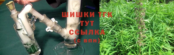 мдпв Осташков