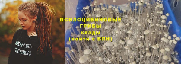 шишки Абдулино