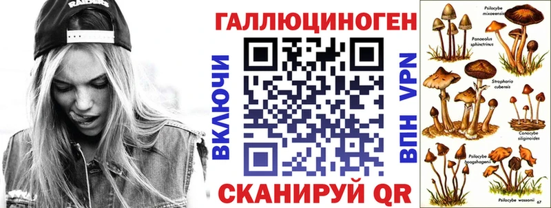 Псилоцибиновые грибы ЛСД  сколько стоит  Торопец 